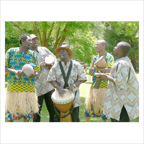 Wild Moves African Drum & Dance